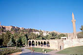 Urfa, Halil Ur Rahman Mosque